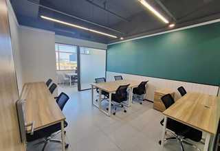 贵州猪弓形虫抗体检测卡