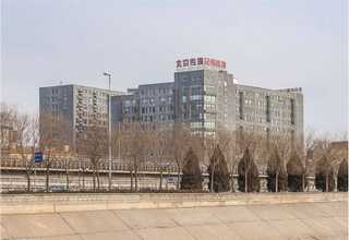 福州pet塑料刷丝大概多少钱